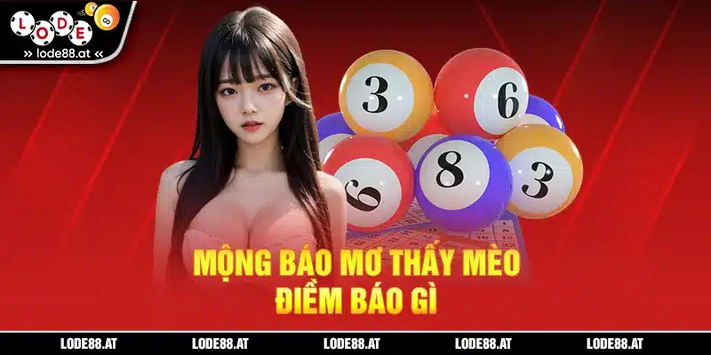 Mộng báo mơ thấy mèo điềm báo gì